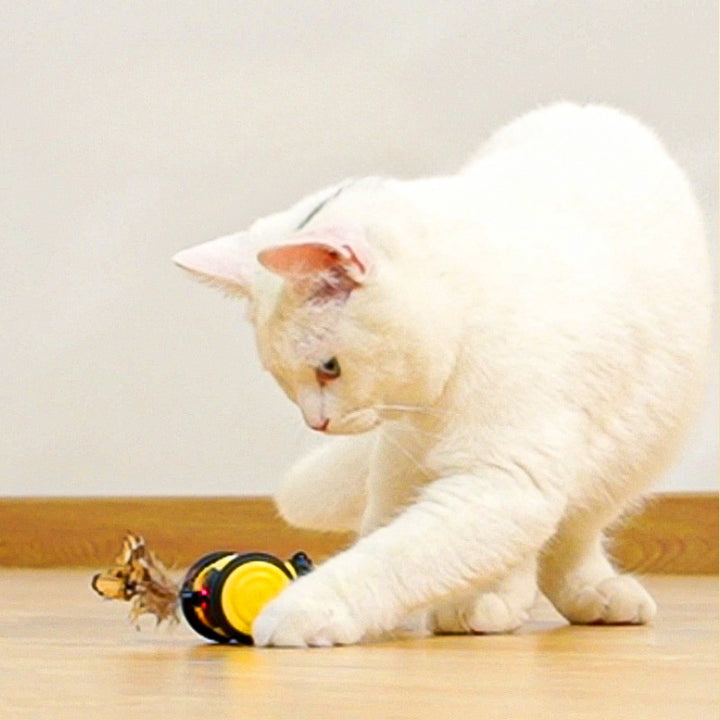 Electric Cat Car Toy Cute Bee Toy