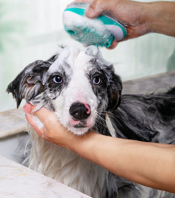 Pet Bath Comb Automatic Liquid