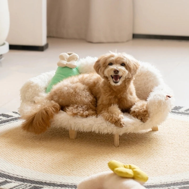Wooden Pet Bed Medium Dog