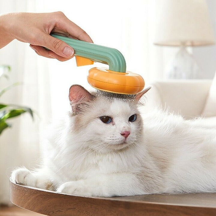 Pumpkin Comb Type Cat