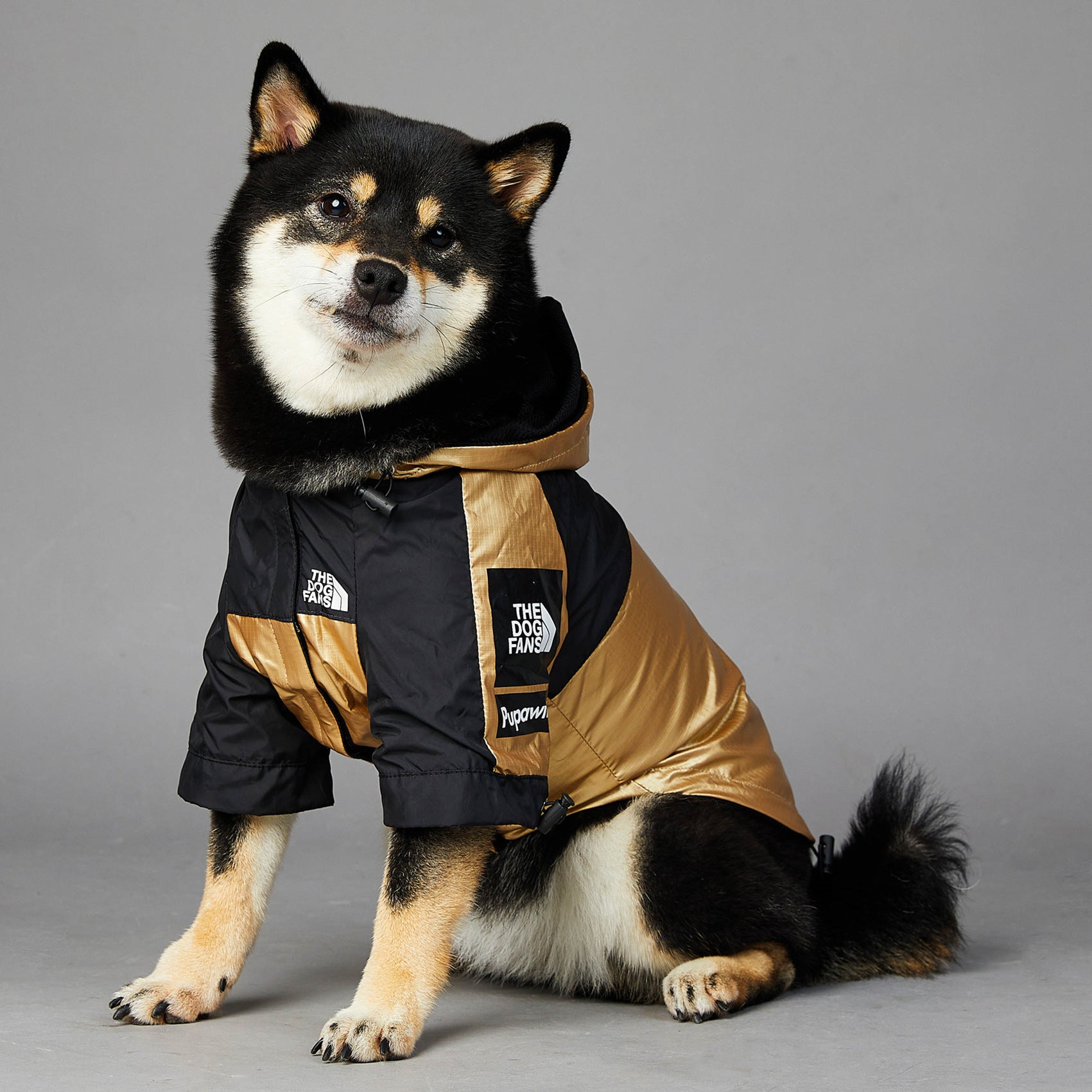 Keep Your Pup Stylish and Dry with Our Large Dog Raincoat