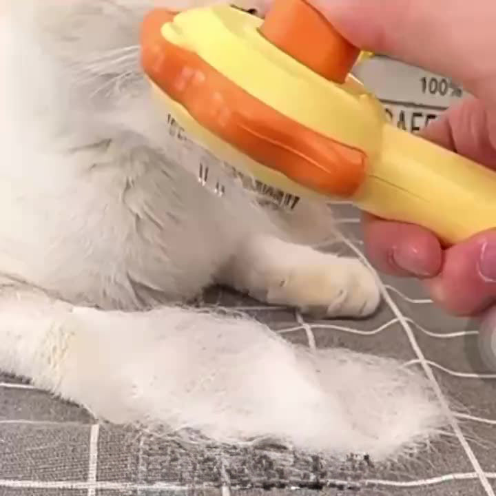Cat Comb Special One-click Hair Removal