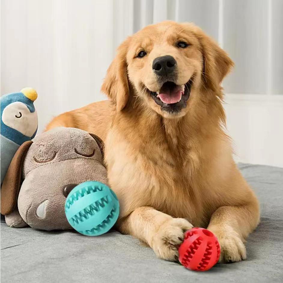Dog Treat Balls Interactive Bite Resistant Toy