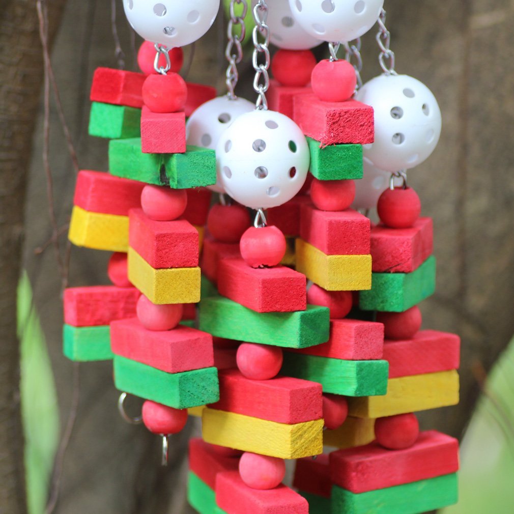 Grey Parrot Alex Sun Chewing Toy
