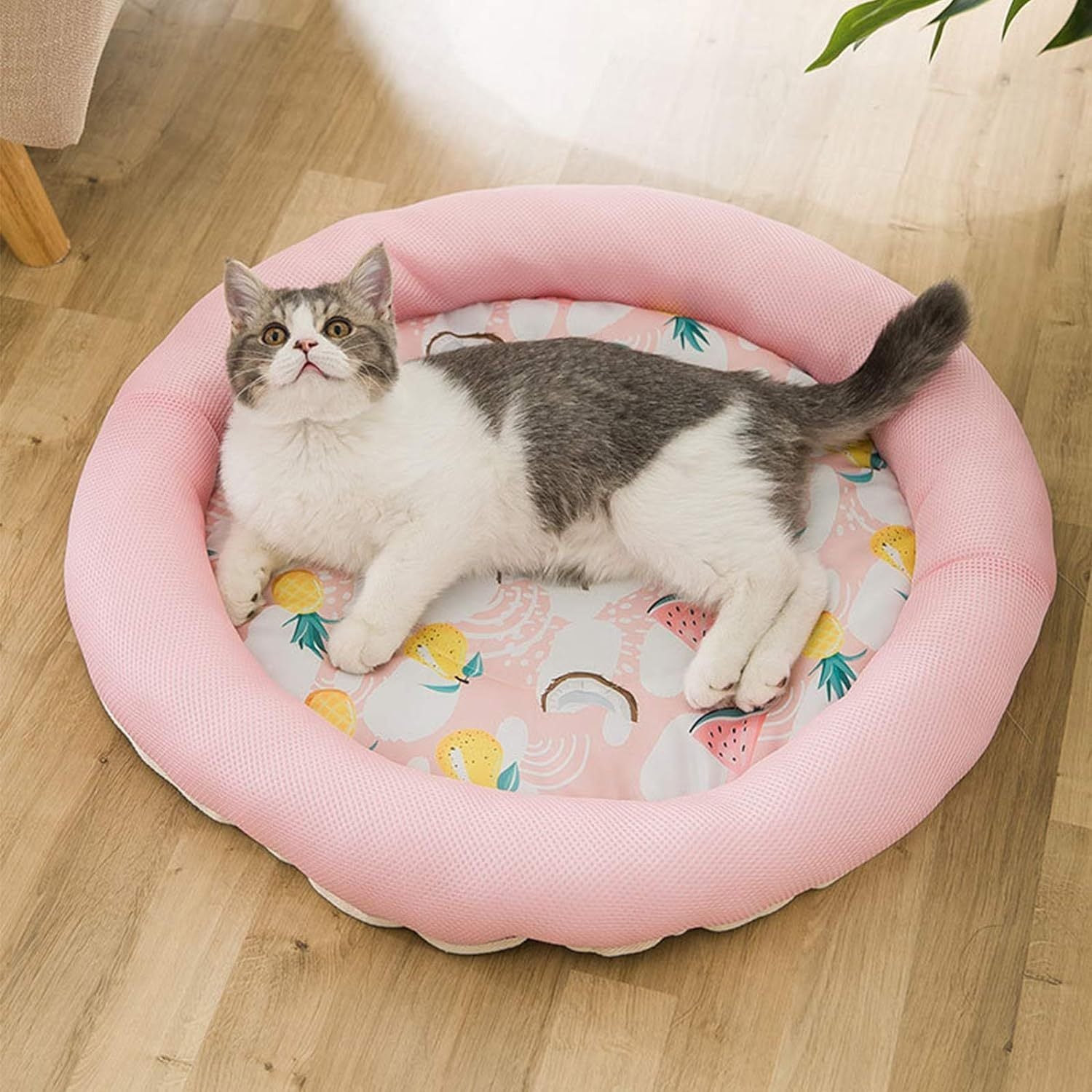 Cooling Dog Bed Waterproof Cover