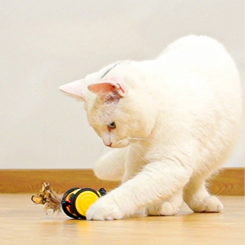 Electric Cat Car Toy Cute Bee Toy