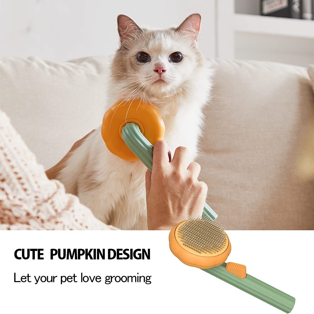 Pumpkin Comb Type Cat