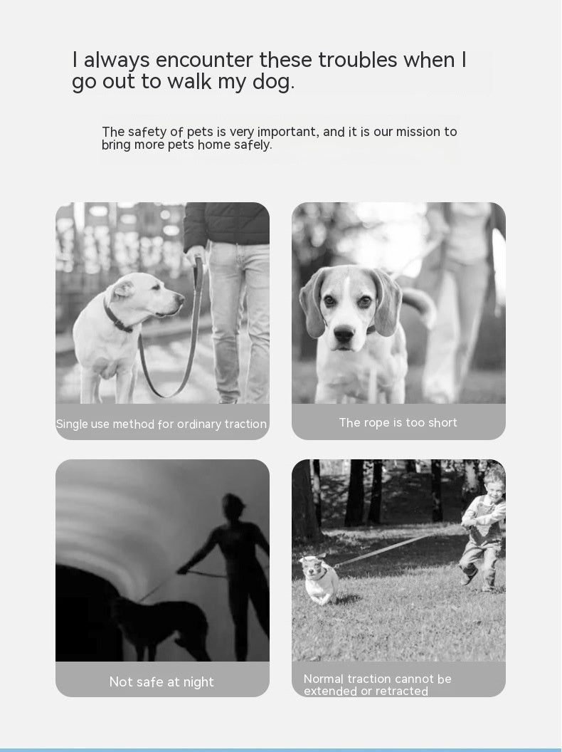 Pet Automatic Retractable Leash