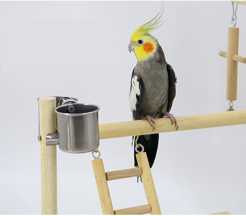 Solid Wood Parrot Bird Training Stand Toy