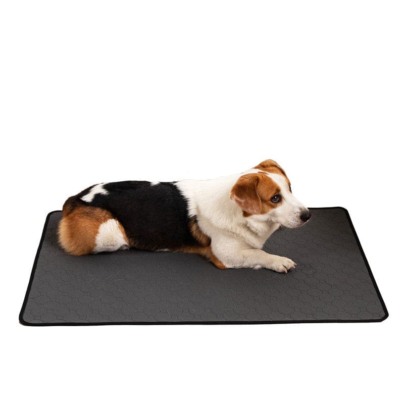 Water Absorption Training For Pet Changing Pads