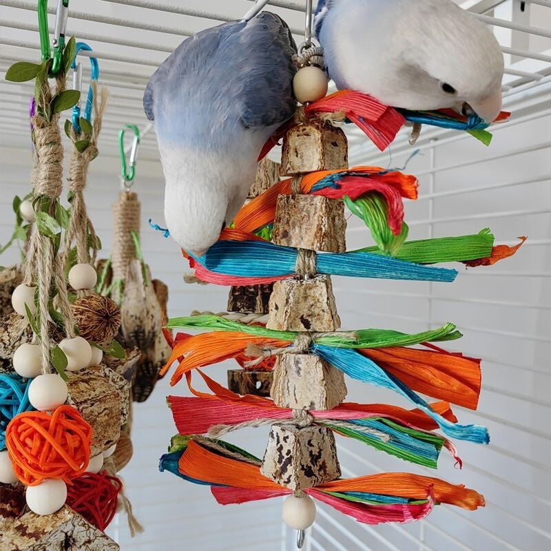 Parrot Bird Stand Rod Bird Cage