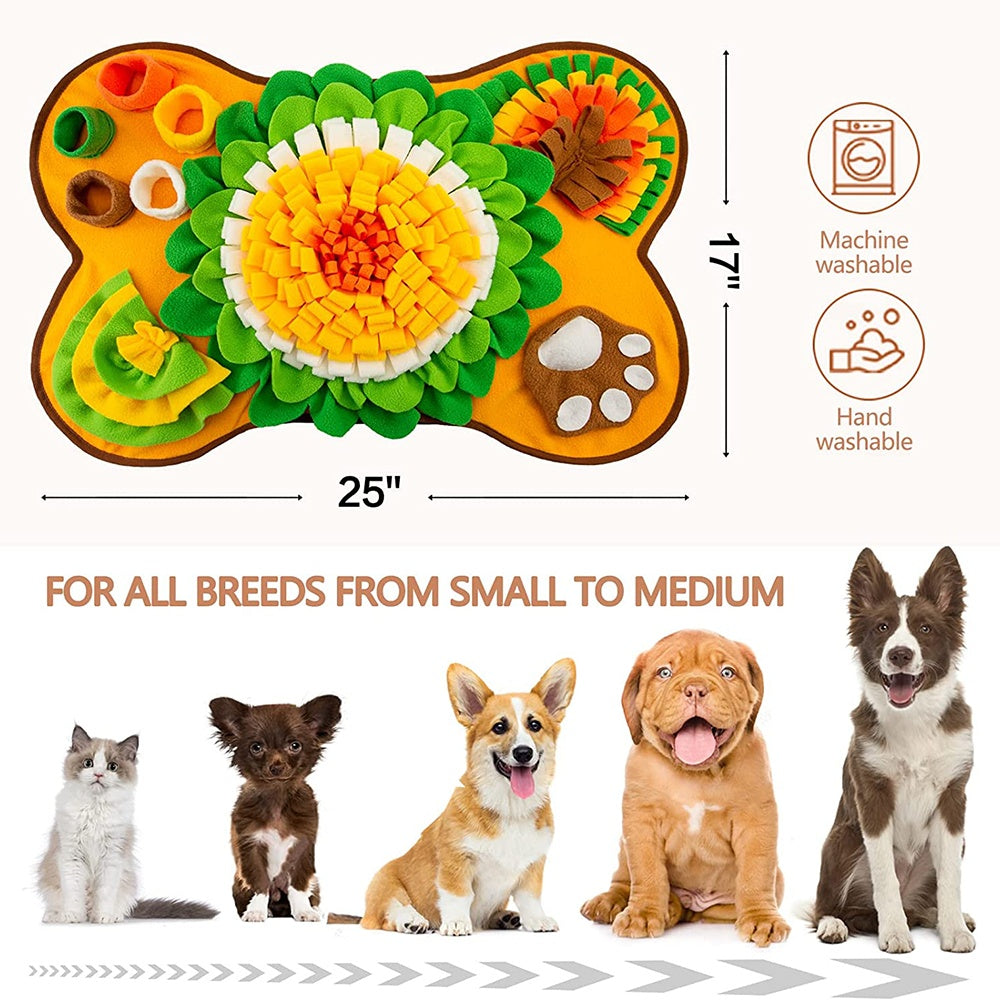 Pet Interactive Training Toys