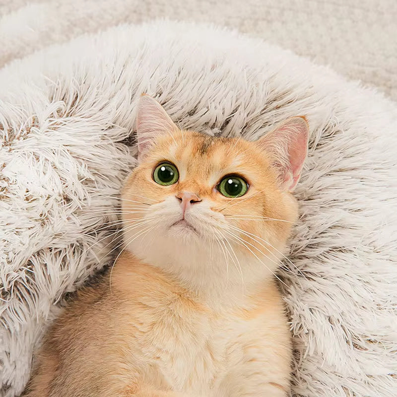 Winter New Long Plush Pet Cat Bed