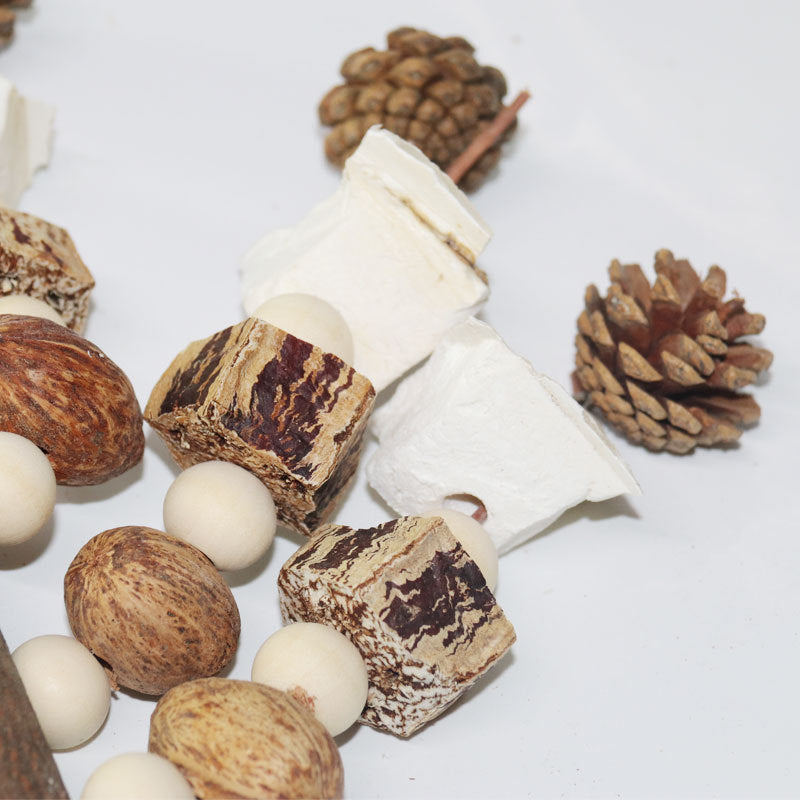 Parrot Toys Cuttlebone Bird Cage Accessories