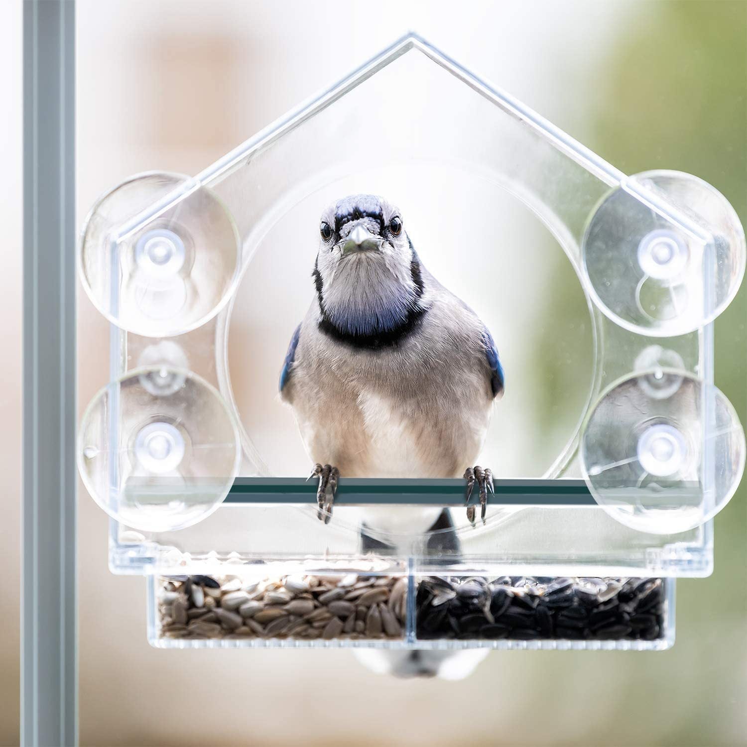 Hanging Transparent Acrylic Organic Bird Feeder
