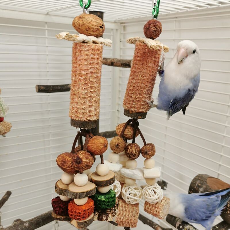 Peony Parrot Bite Toy Combination