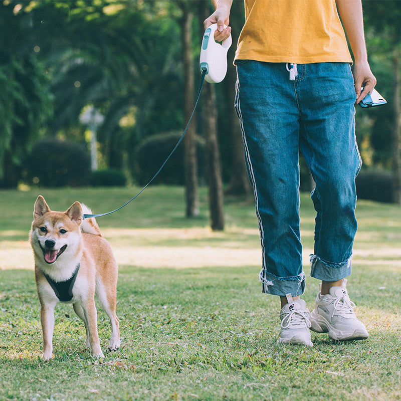 Pet Retractable Leash For Dogs