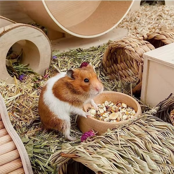 Hamster Supplies Cute Feeding Bowl