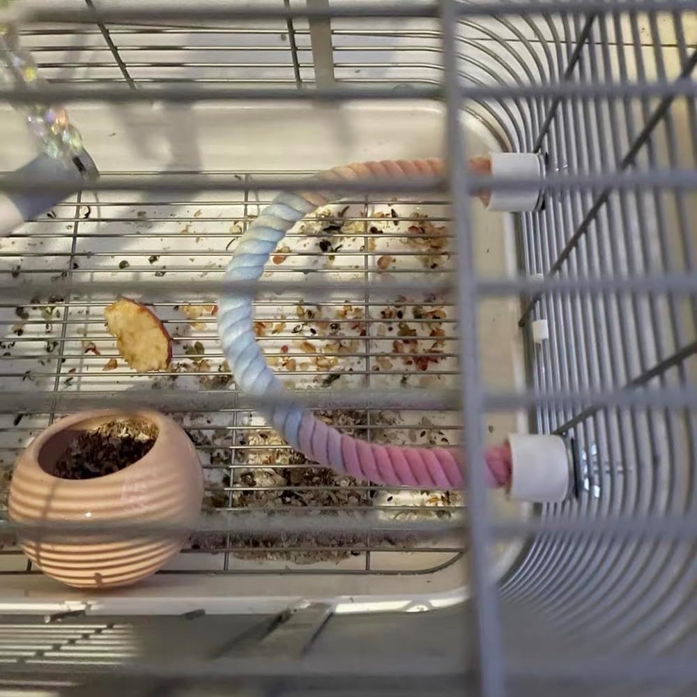 Gradient Colorful Bird Rope Perch Toy