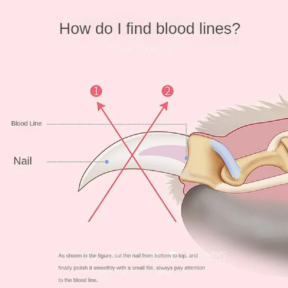 Pet Nail Clipper Sharp Safety