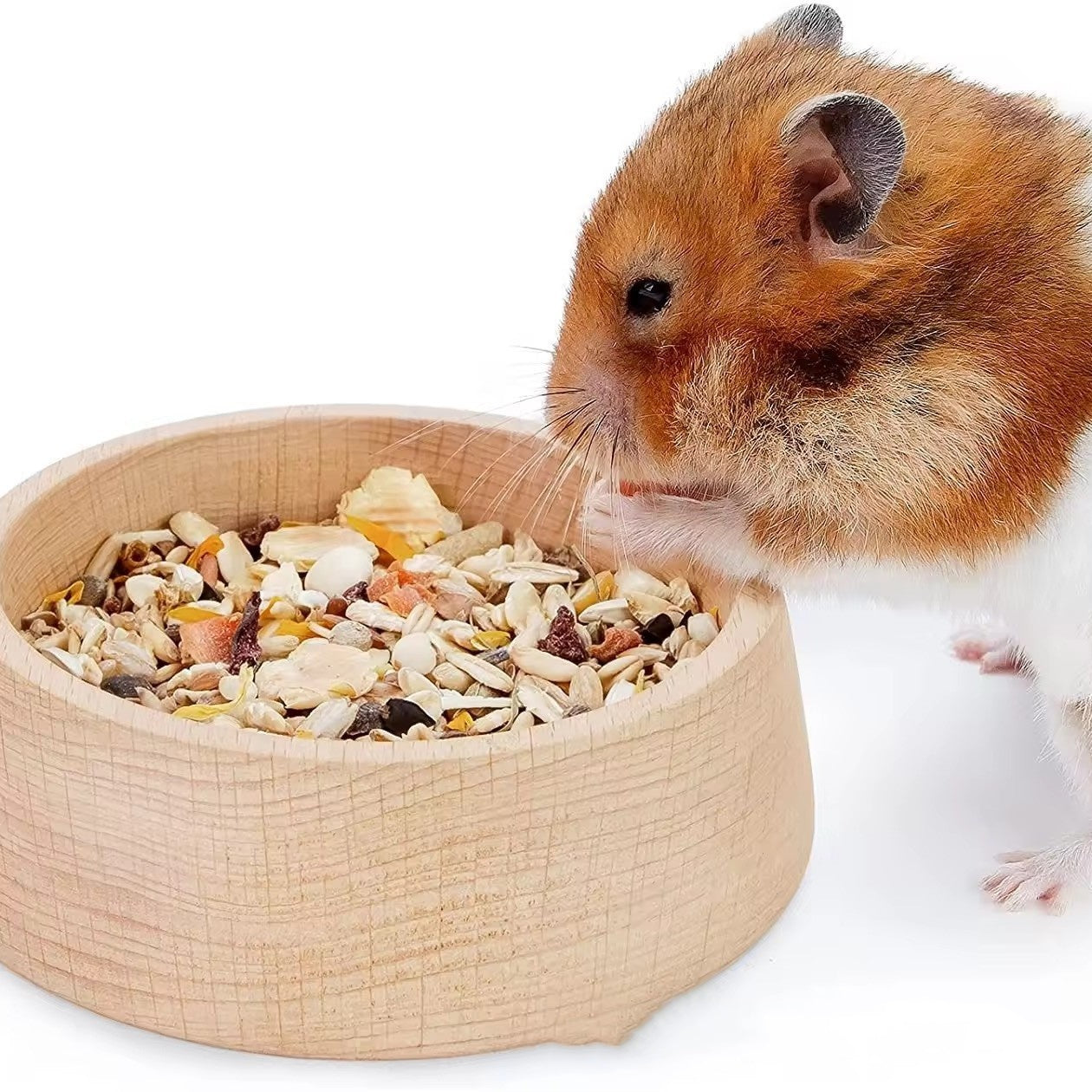 Hamster Supplies Cute Feeding Bowl