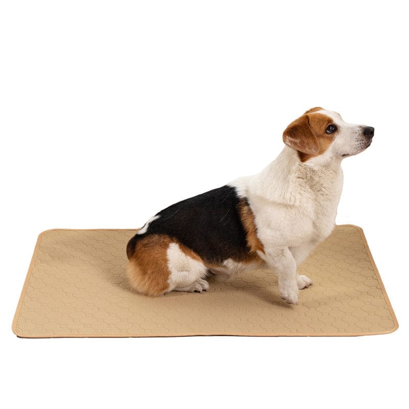 Water Absorption Training For Pet Changing Pads
