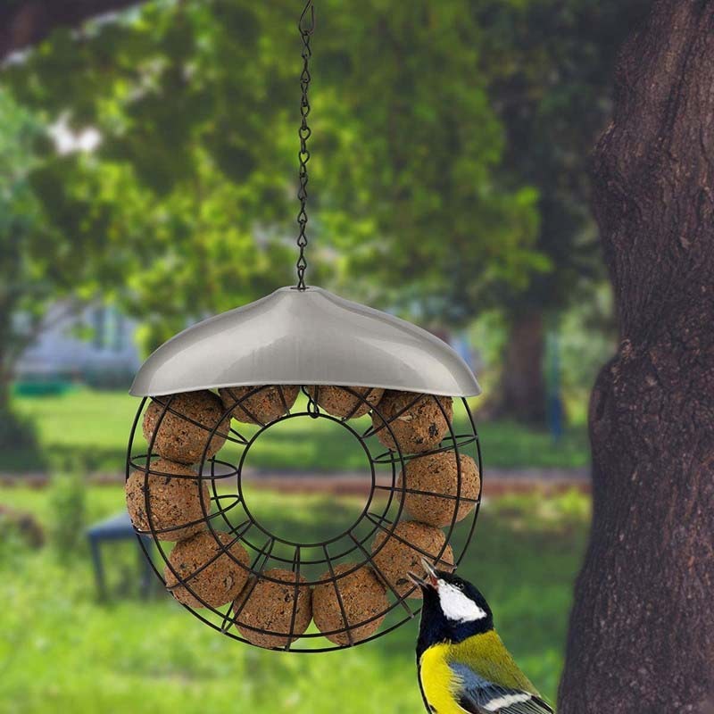 Metal Hanging Washable Outdoor Feeder