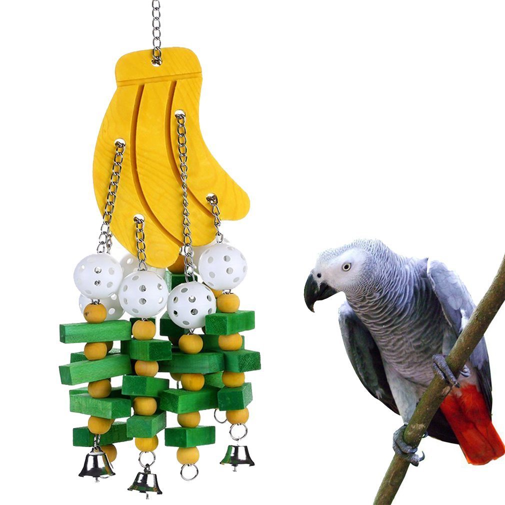 Grey Parrot Alex Sun Chewing Toy