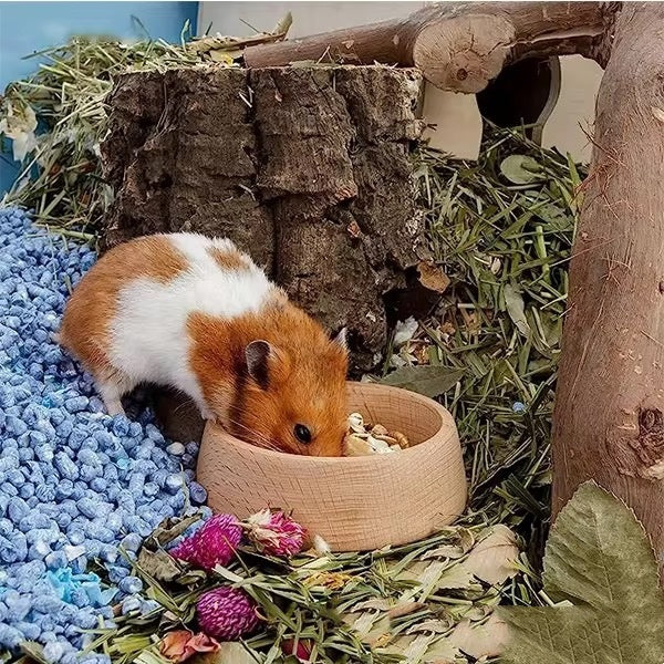 Hamster Supplies Cute Feeding Bowl