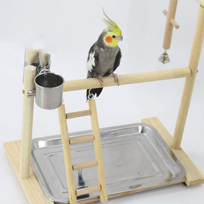 Solid Wood Parrot Bird Training Stand Toy